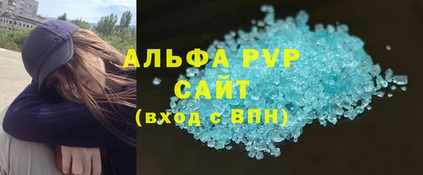 ПСИЛОЦИБИНОВЫЕ ГРИБЫ Сосновый Бор