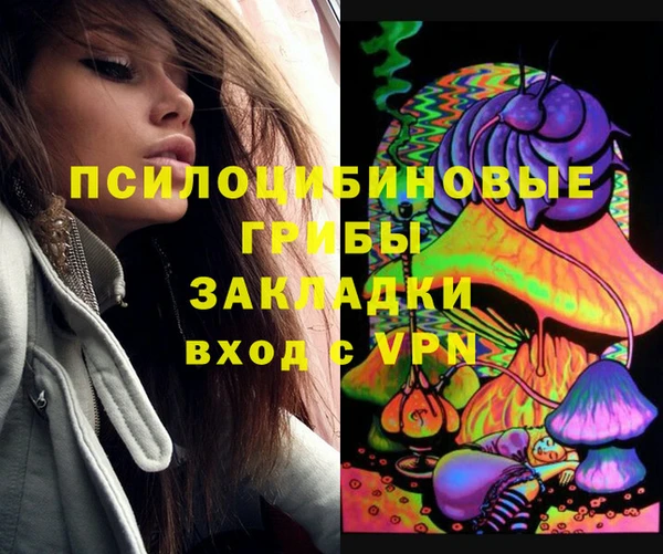 твердый Володарск