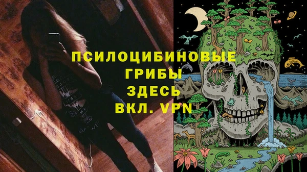 MDMA Premium VHQ Волосово