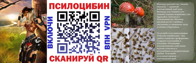 Галлюциногенные грибы прущие грибы  как найти   Гурьевск 
