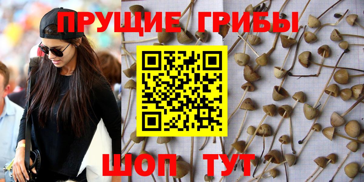 Галлюциногенные грибы мухоморы Гурьевск