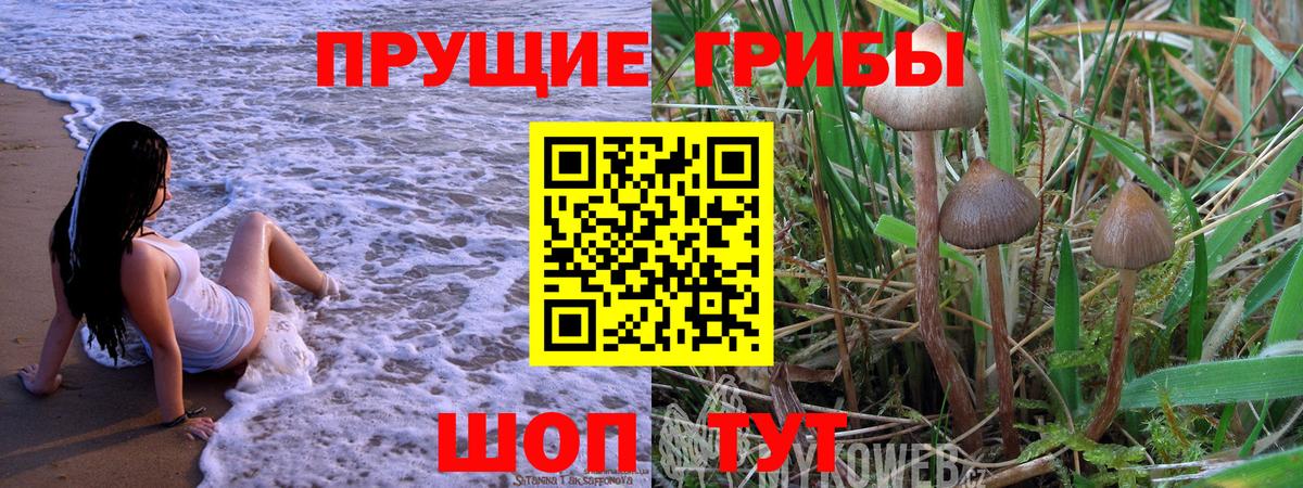 Гурьевск  А ПВП СОЛЬ   Вход с VPN  Меф МЯУ МЯУ кристаллы  ГАШИШ  Канабис 
