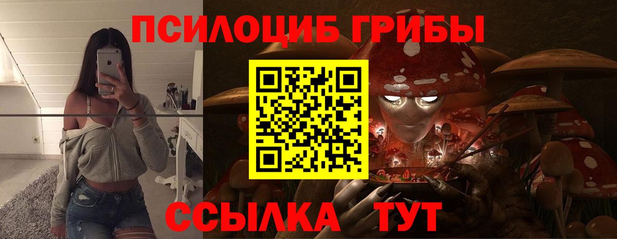 Галлюциногенные грибы мухоморы Гурьевск
